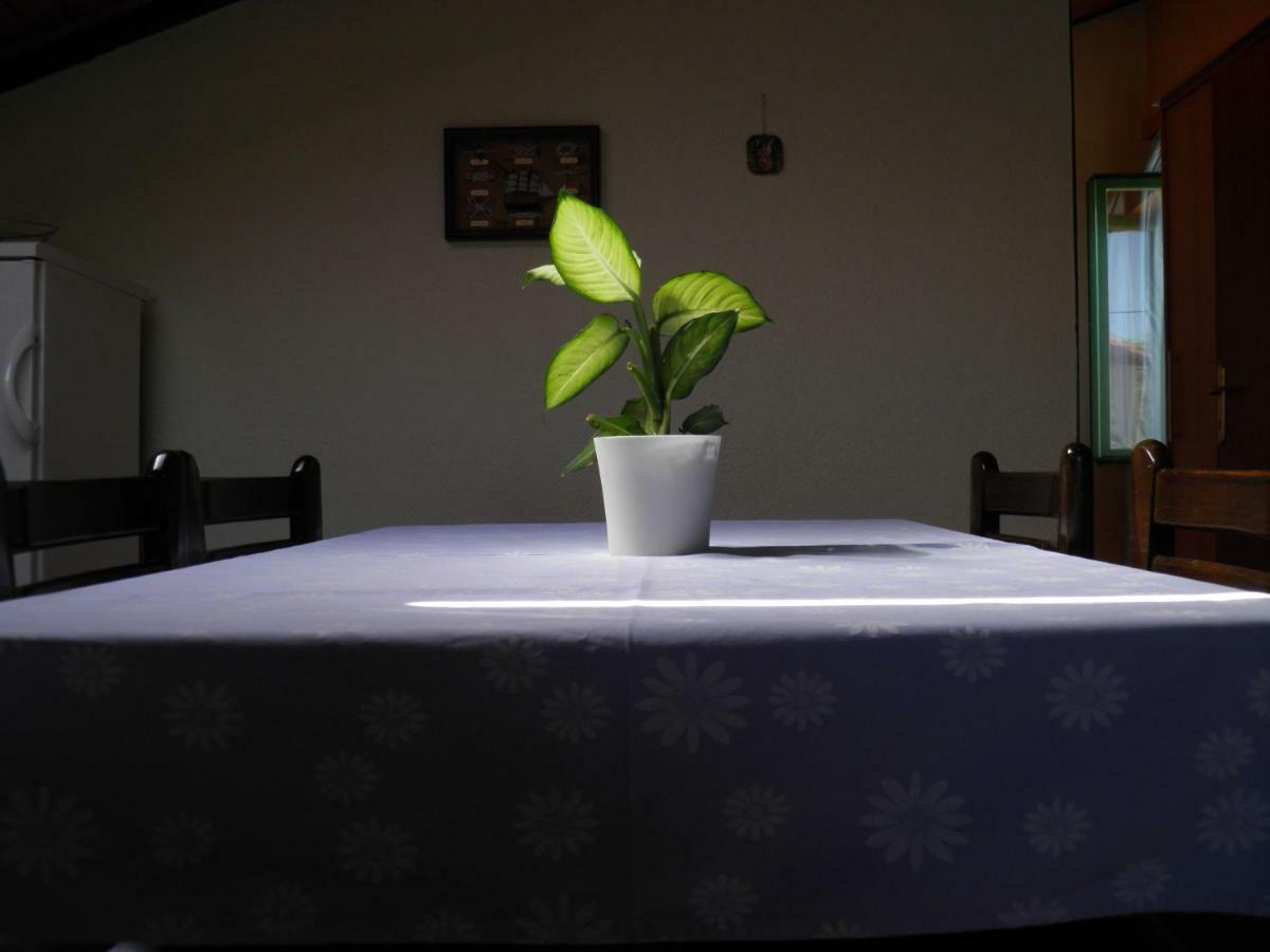 Apartman Mia Biograd ビオグラード・ナ・モル エクステリア 写真
