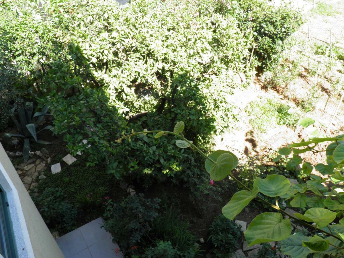 Apartman Mia Biograd ビオグラード・ナ・モル エクステリア 写真